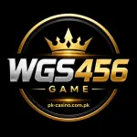 WGS456 Game logo with a modern gold and silver design on a black background.